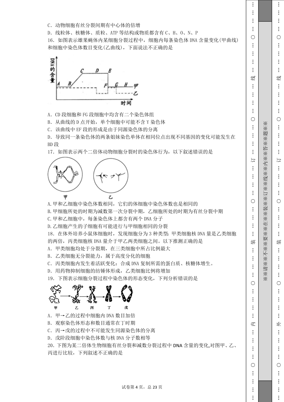 61细胞的增殖_第4页