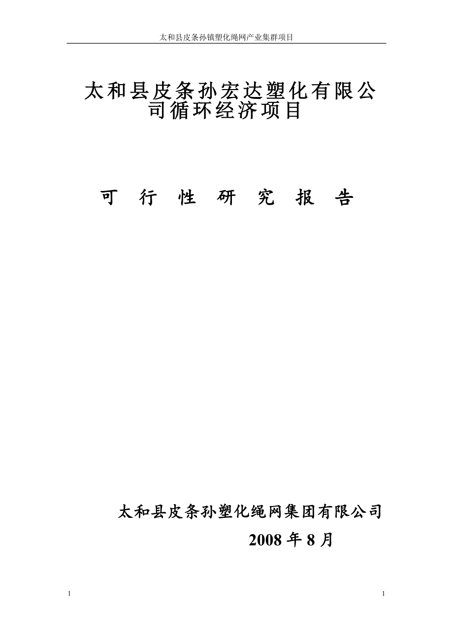 皮条孙塑化绳网产业集群可研报告.doc_第1页