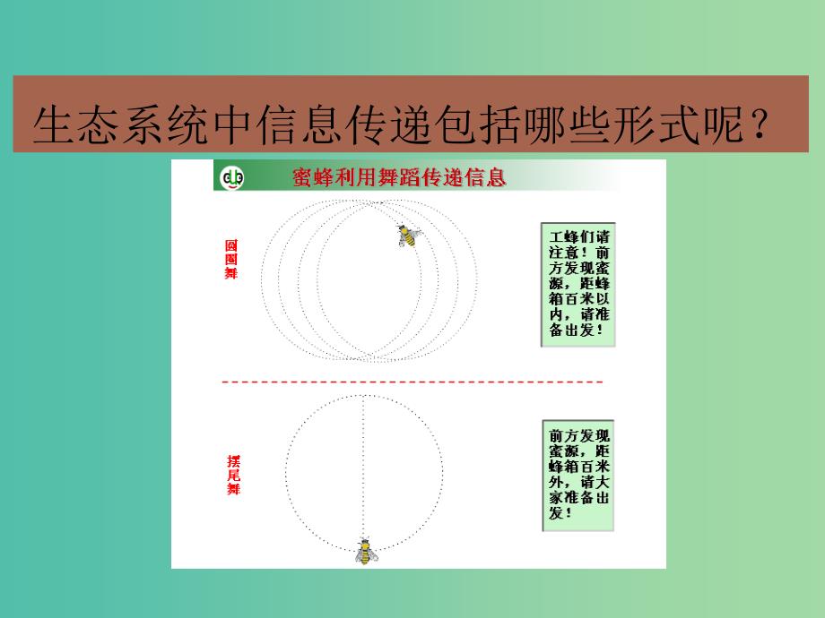 高中生物 5.4生态系统的信息传递同课异构课件 新人教版必修3.ppt_第4页