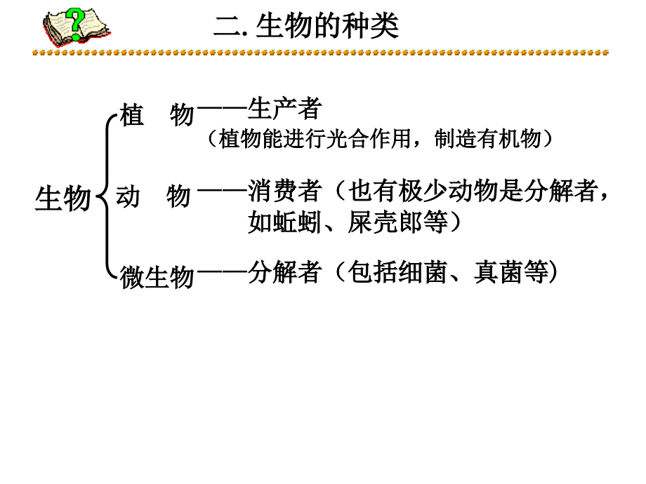 24讲：观察多种多样的生物、细胞PPT课件_第3页