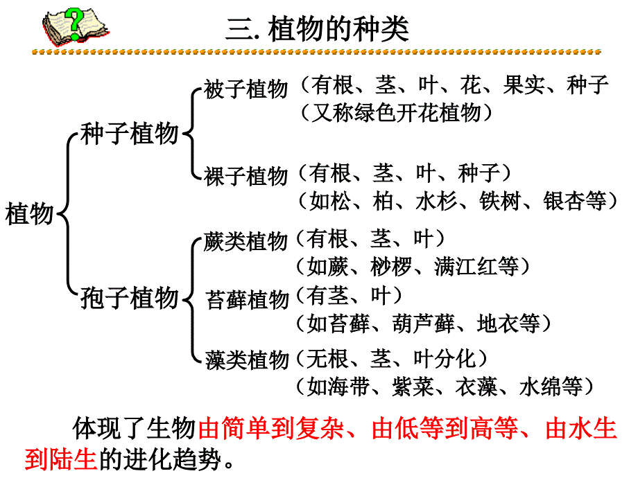 24讲：观察多种多样的生物、细胞PPT课件_第4页