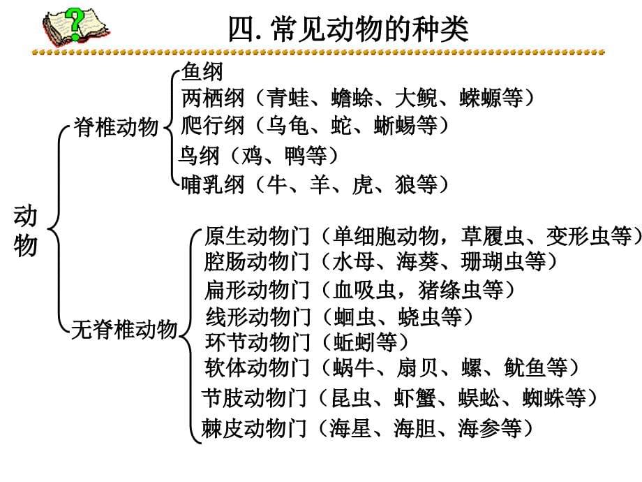 24讲：观察多种多样的生物、细胞PPT课件_第5页