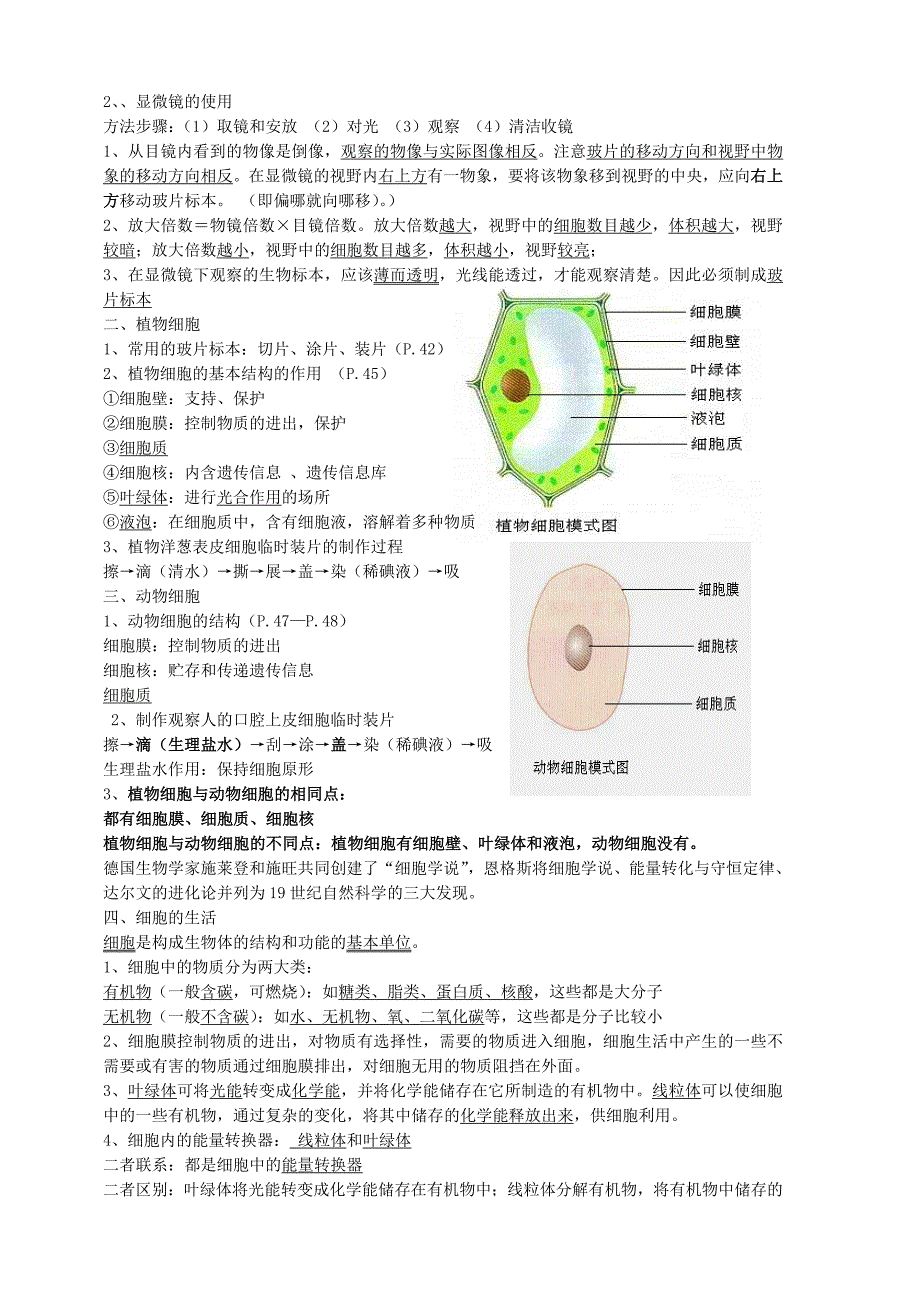 最新人教版生物七年级上册复习资料[1]（教育精品）_第3页