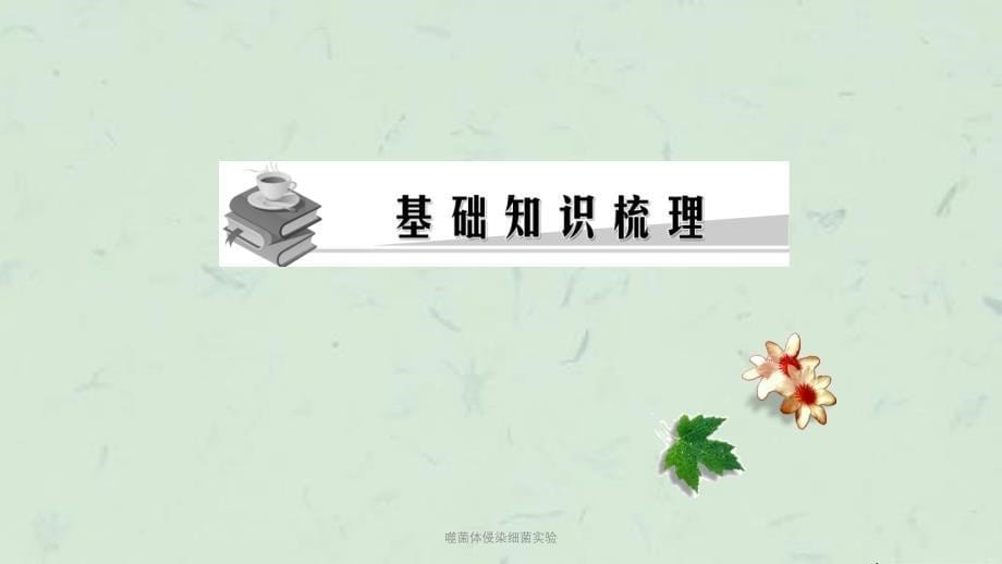 噬菌体侵染细菌实验课件_第5页