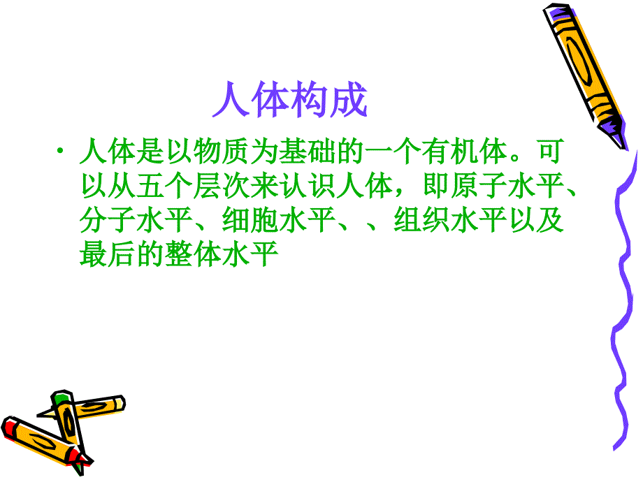 人体的形态结构及功能.ppt_第2页