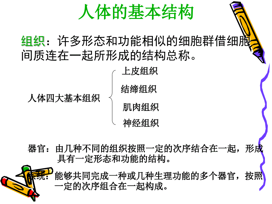 人体的形态结构及功能.ppt_第4页