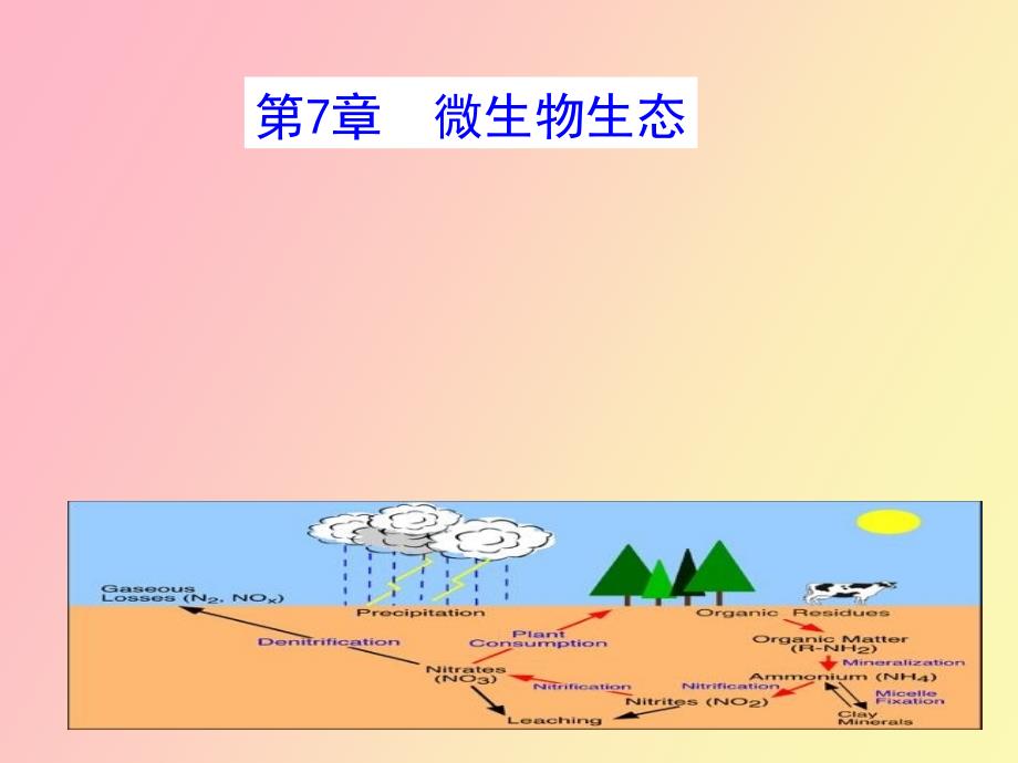 殷士学微生物生态_第1页