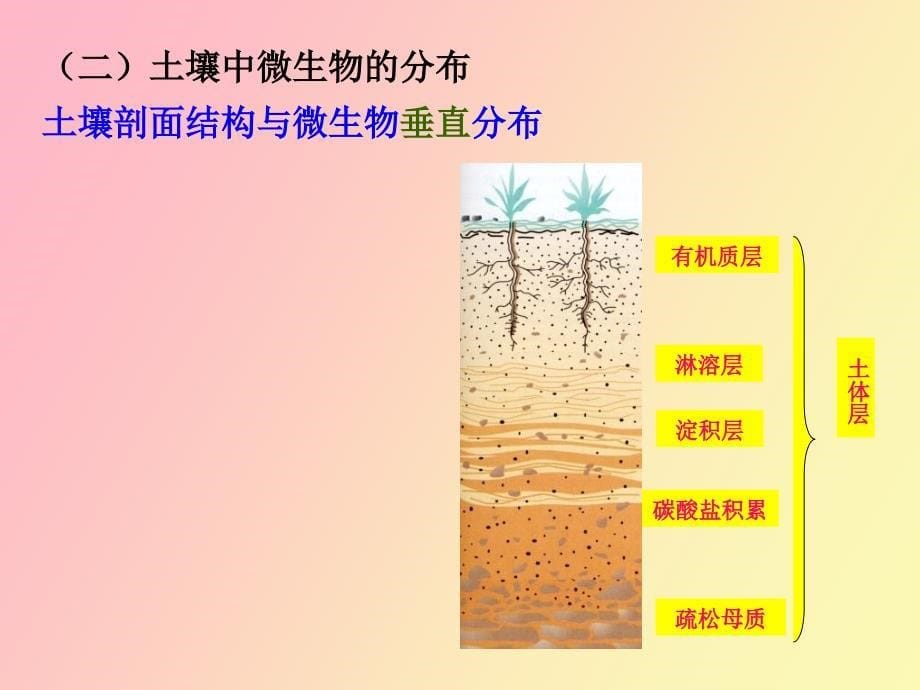 殷士学微生物生态_第5页