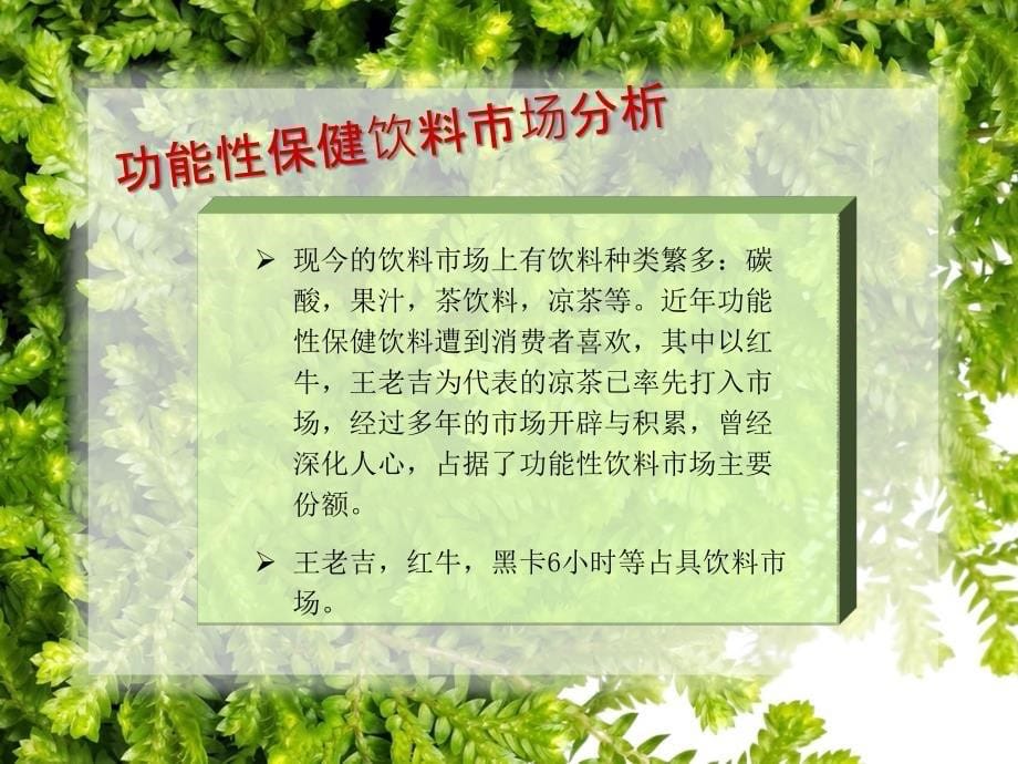 苦瓜保健饮品推广计划ppt课件_第5页