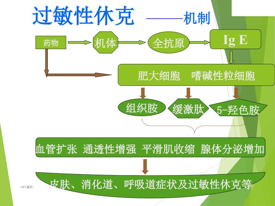 过敏性休克的处理ppt课件_第4页