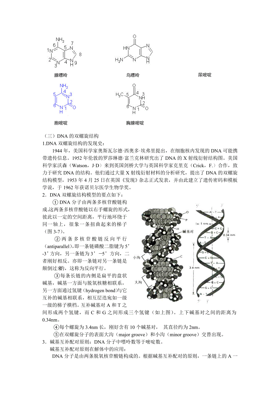 高中生物奥林匹克竞赛辅导专题讲座_专题八_基因与分子生物学_第4页