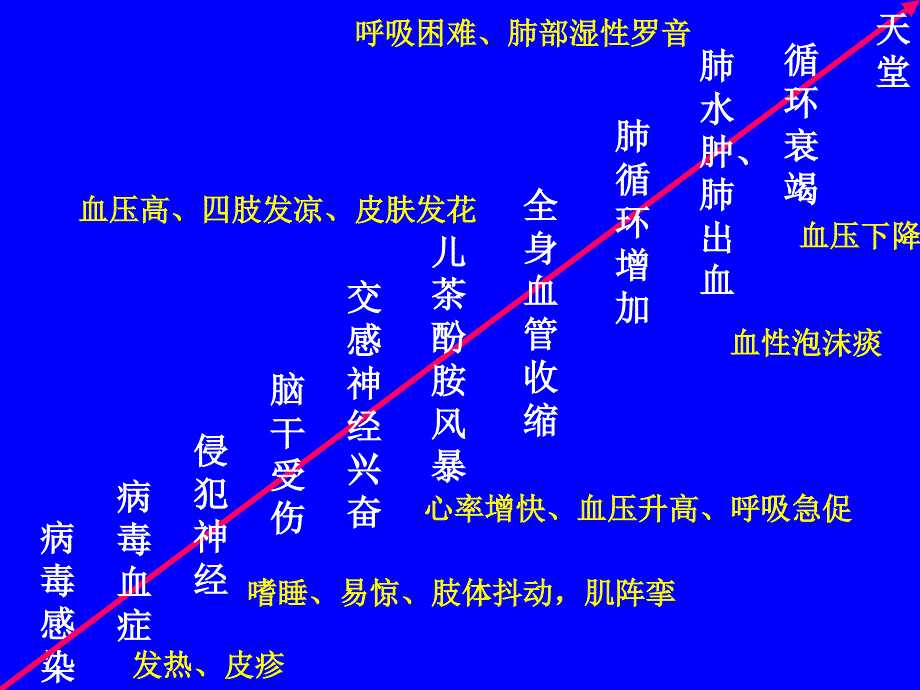 2手足口病对儿科医生的全面考量_第3页