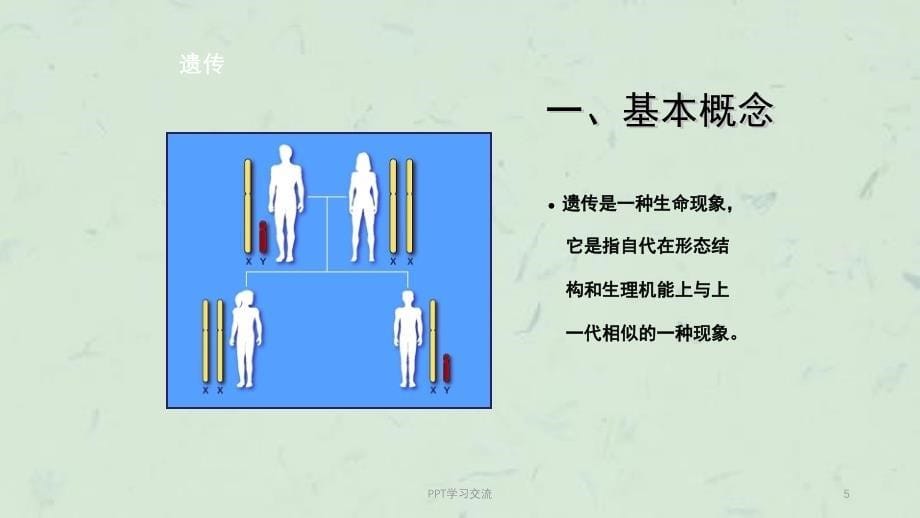 大学生健康教育遗传课件_第5页