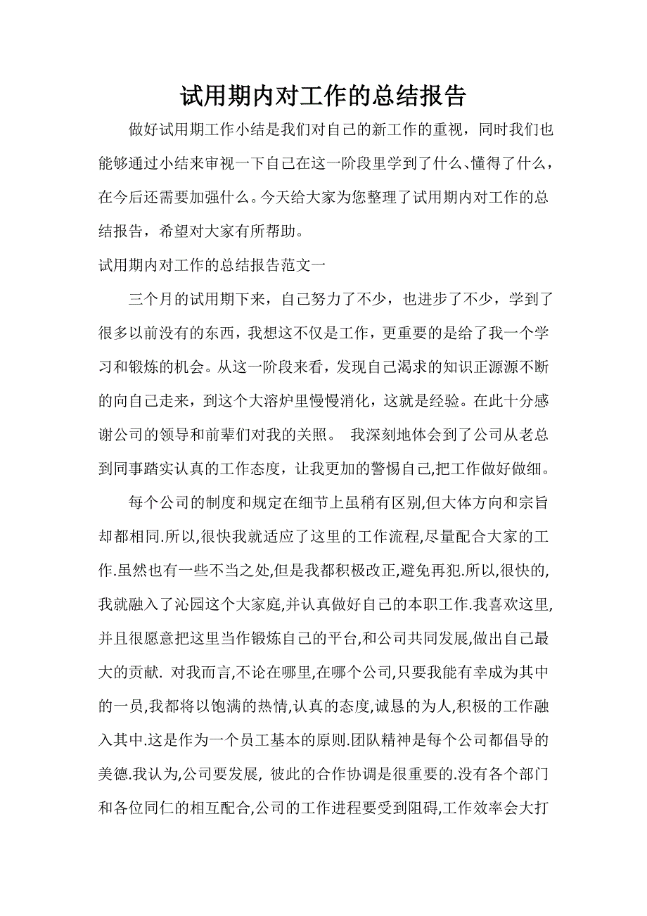 试用期内对工作的总结报告_第1页