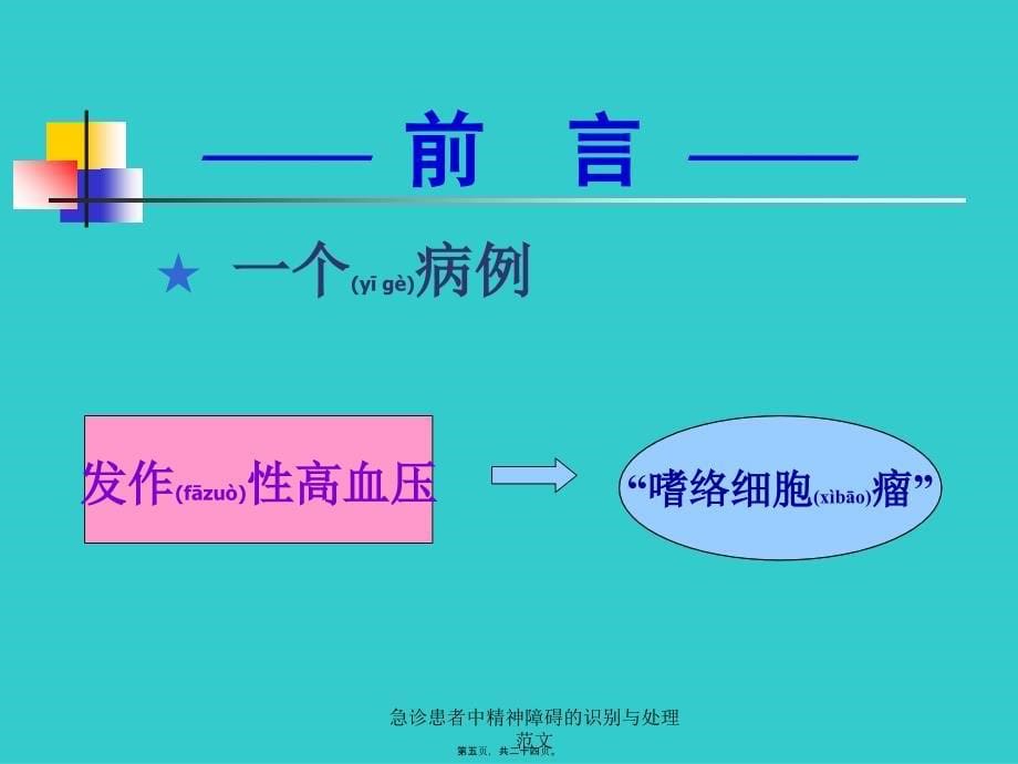 急诊患者中精神障碍的识别与处理范文课件_第5页