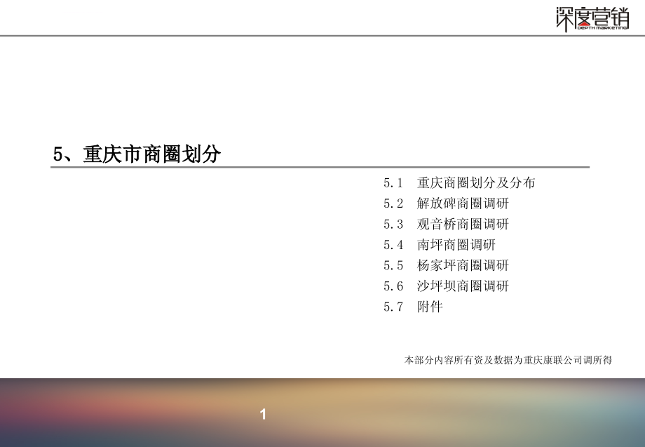 重庆市商圈调研数据报告_第2页