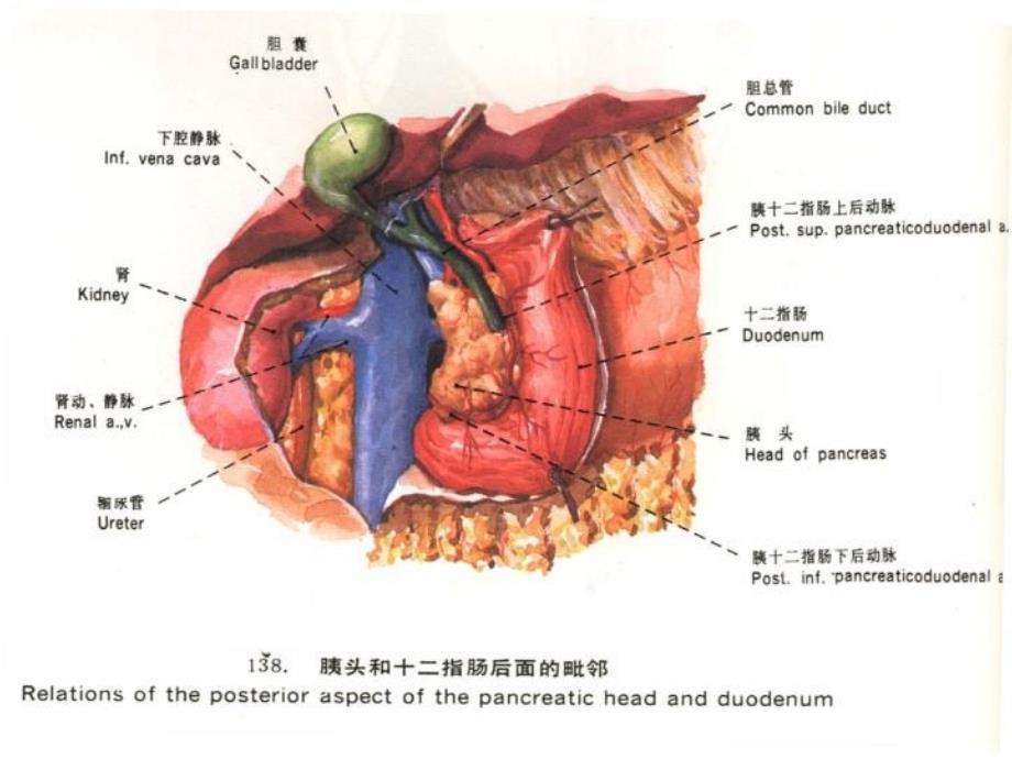 最新医学课件胰腺疾病的CT诊断汉魅HanMei医学专区分享精品课件_第4页