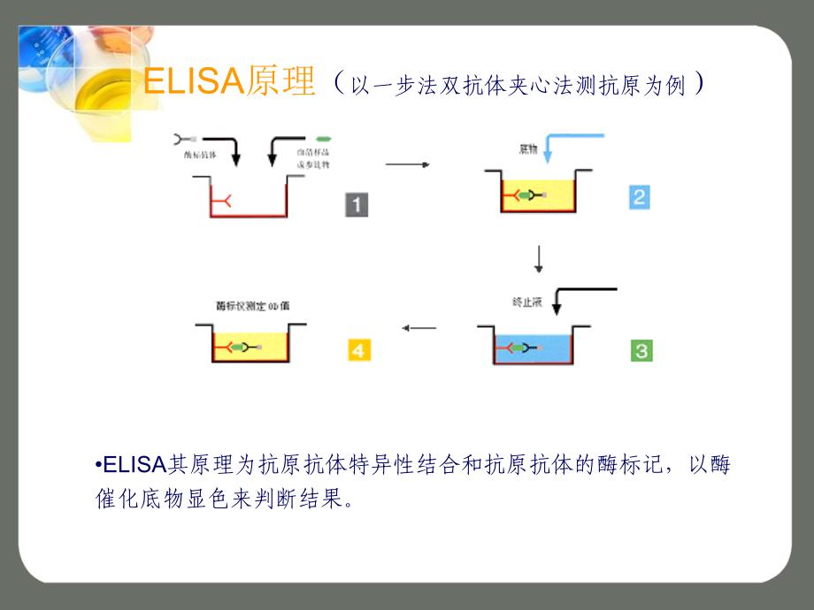 酶联免疫吸附试验ELISA手工操作注意事项_第3页