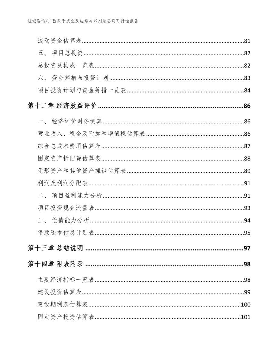 广西关于成立反应堆冷却剂泵公司可行性报告范文参考_第5页