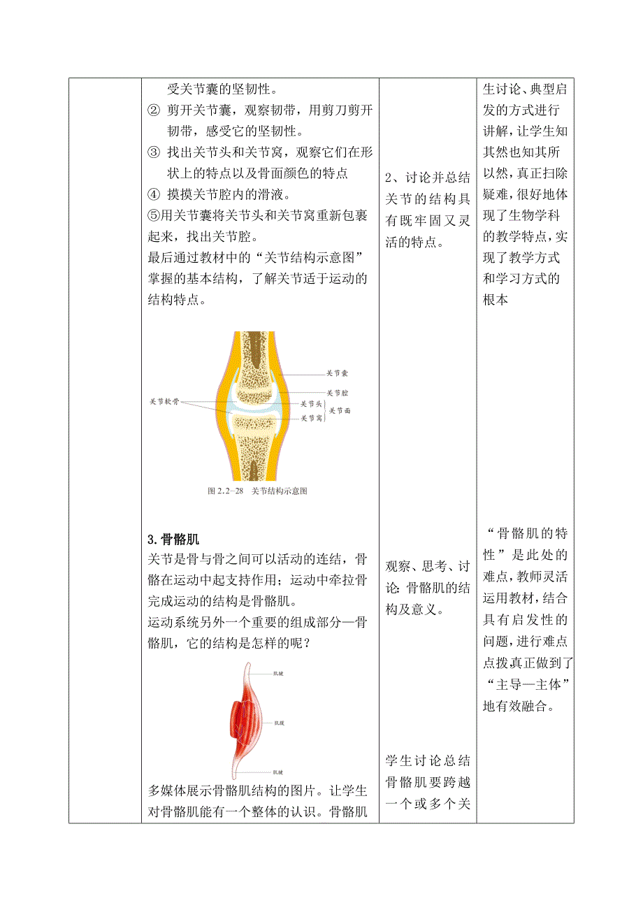 第二章第三节动物的运动1课时.doc_第4页