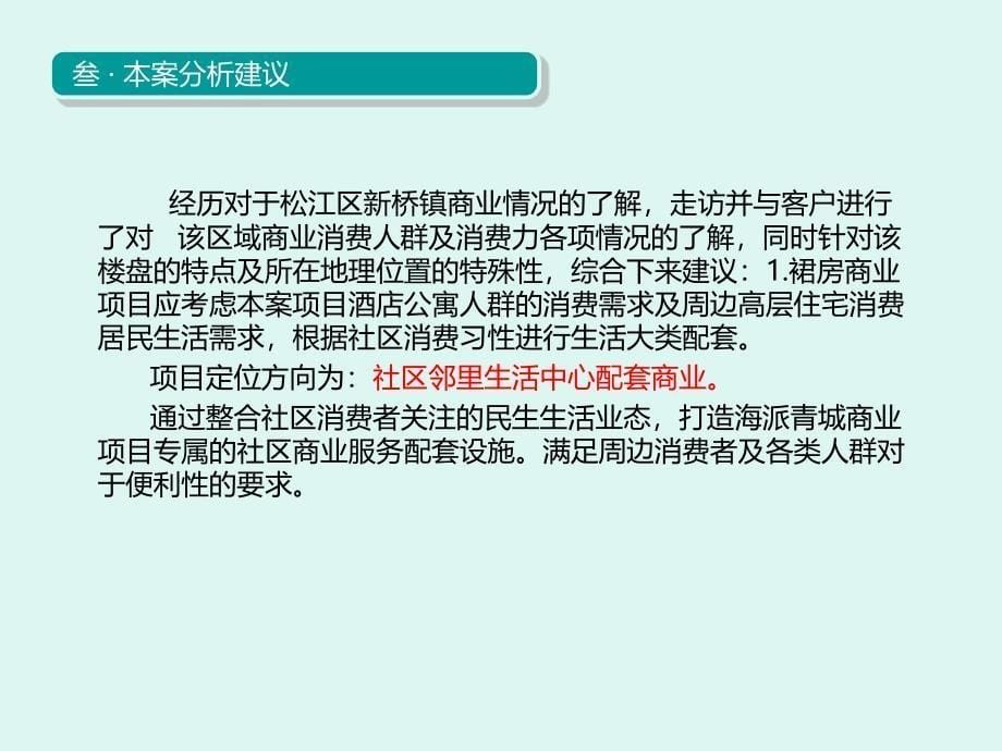 海派青城裙房商业项目_第5页