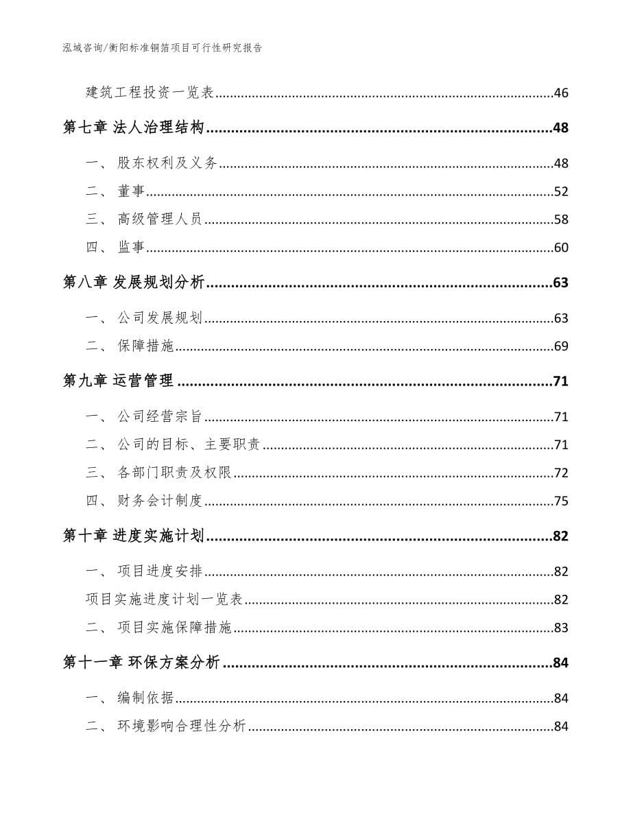 衡阳标准铜箔项目可行性研究报告（模板参考）_第5页