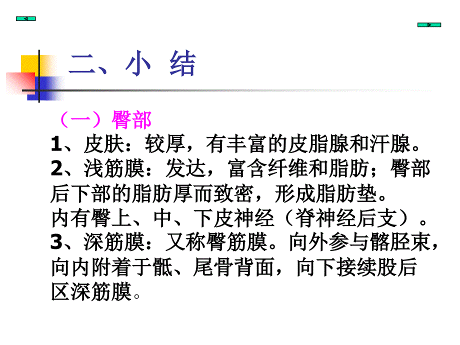 臀部股后区窝word版本_第3页