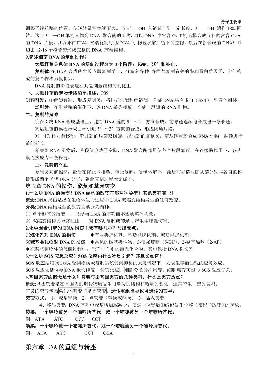 分子生物学复习资料.doc_第5页