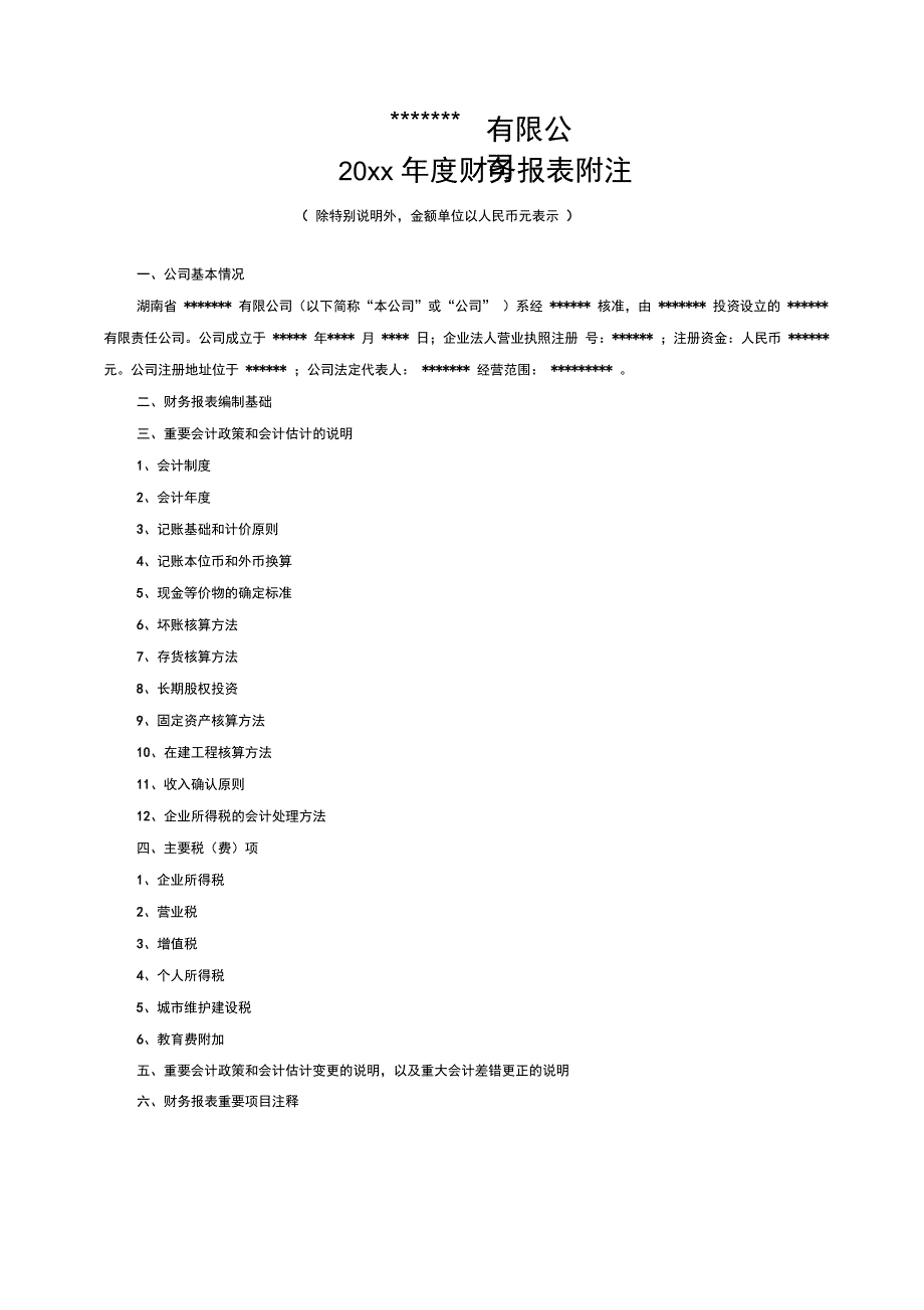 年度财务报表附注模板_第1页