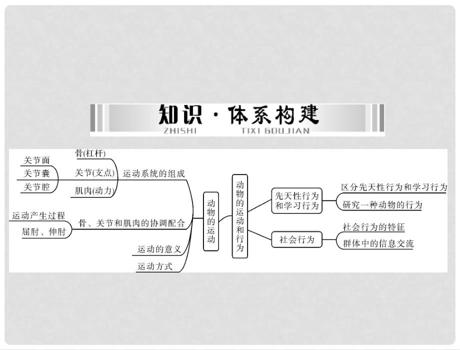 中考生物 第一部分 夯基提能 第五章 动物的运动和行为配套课件_第2页