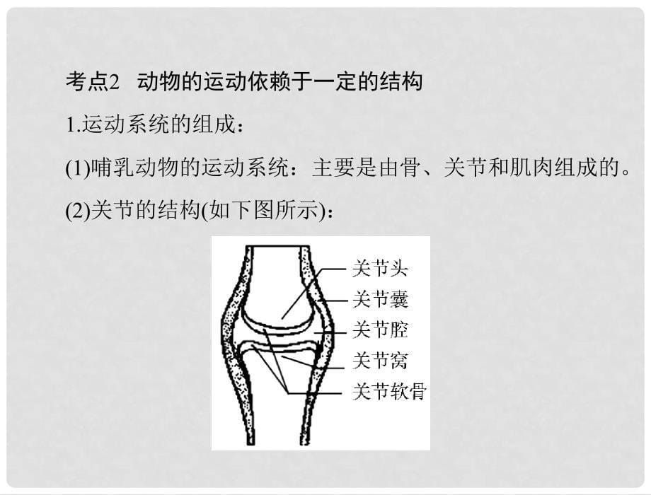 中考生物 第一部分 夯基提能 第五章 动物的运动和行为配套课件_第5页