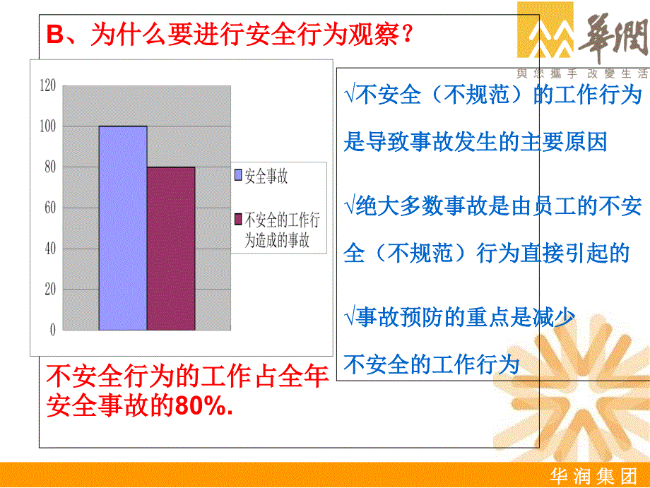 《安全行为观察》PPT课件_第4页