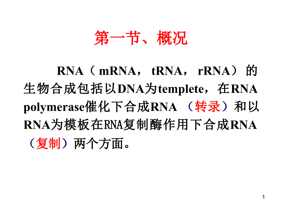 十四章RNA的生物合成转录PPT课件_第1页