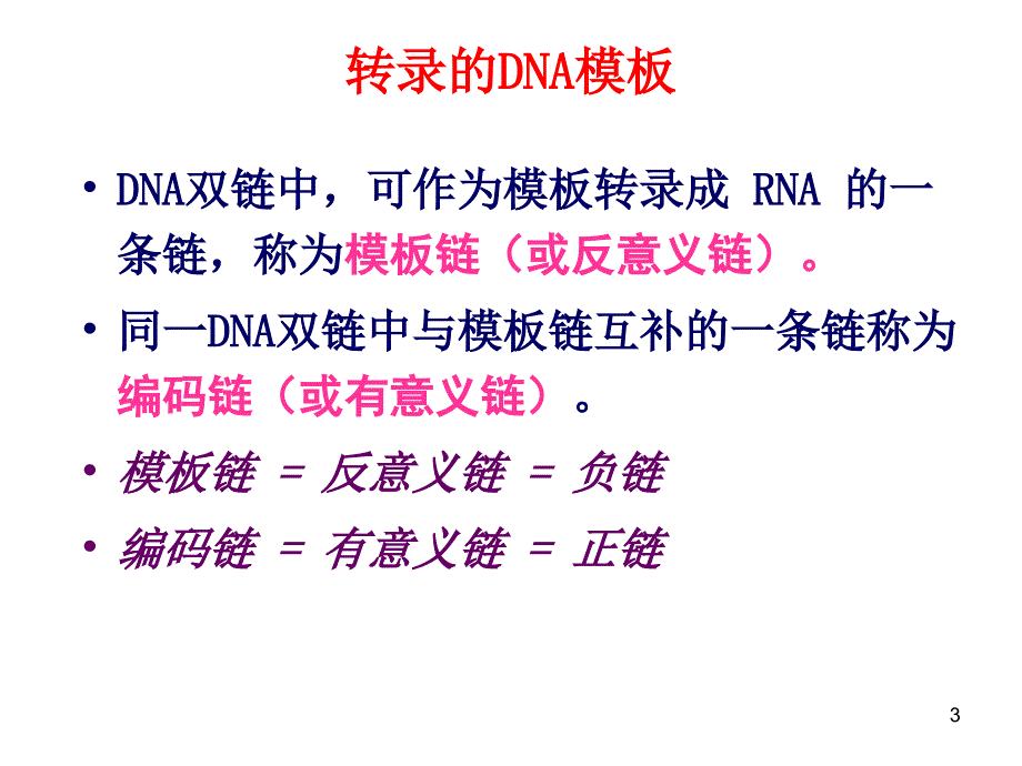 十四章RNA的生物合成转录PPT课件_第3页