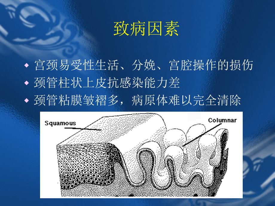 宫颈炎症PPT课件_第4页