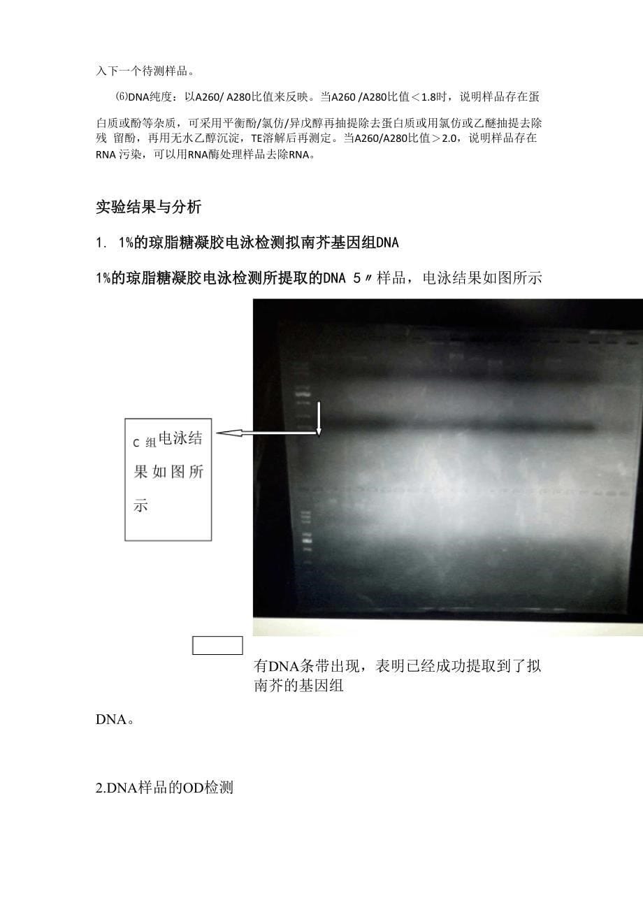 植物基因组DNA的提取及其定性、定量分析_第5页