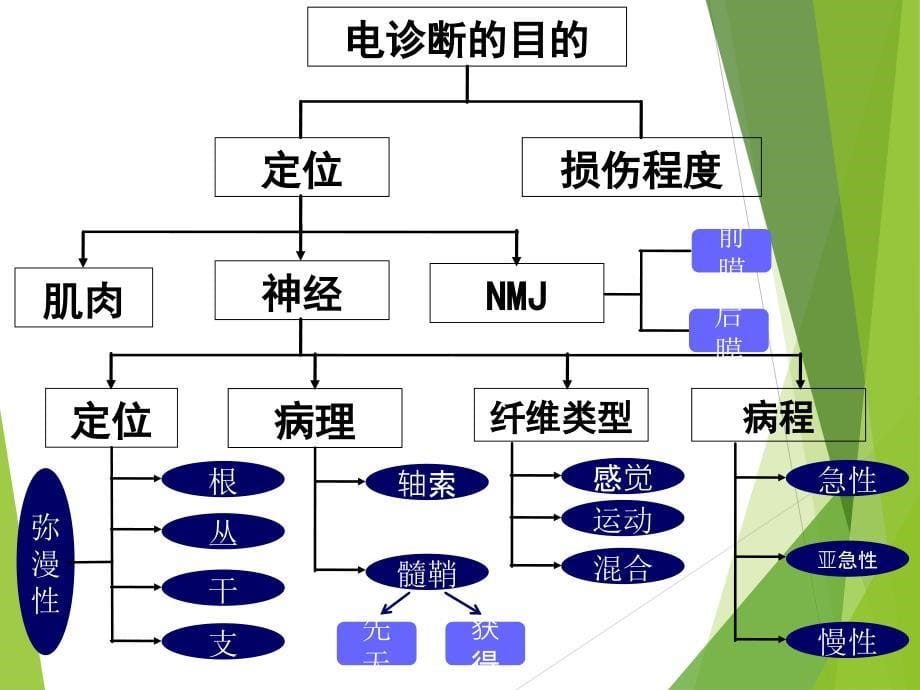 肌电图基本原理_第5页