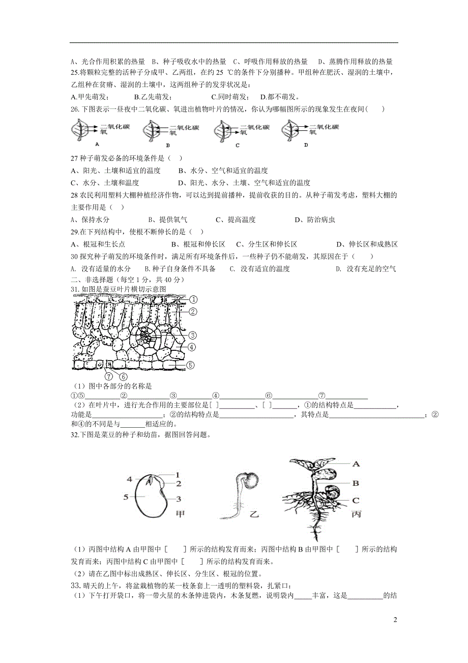 绿色植物的一生测试.doc_第2页