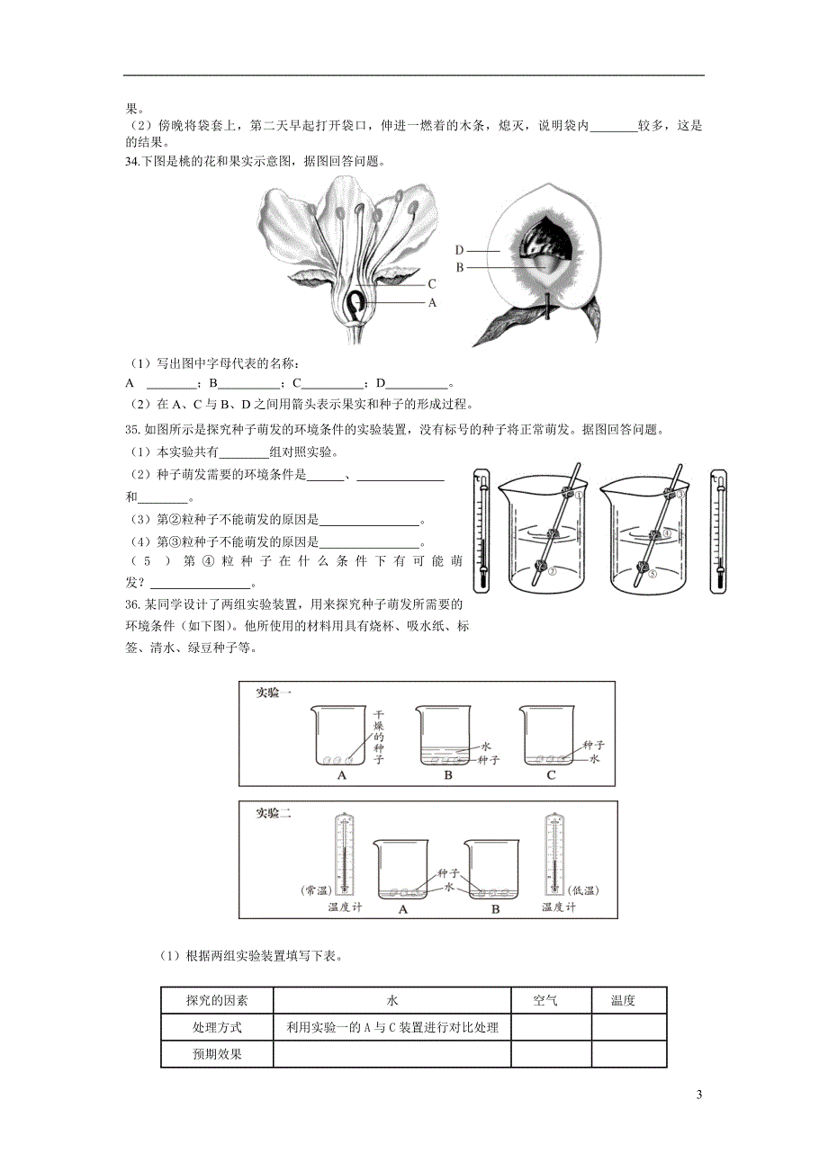 绿色植物的一生测试.doc_第3页