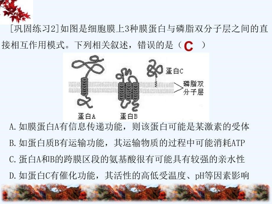 细胞膜系统的边界一轮复习_第5页