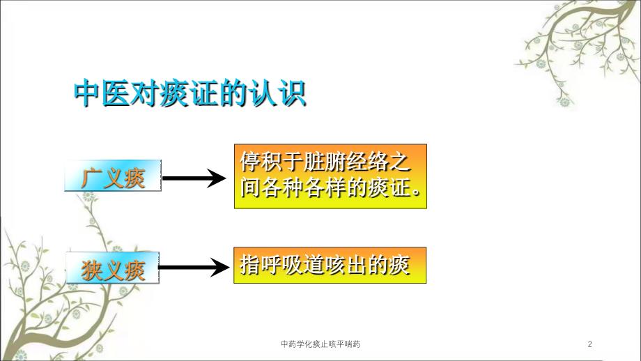 中药学化痰止咳平喘药_第2页