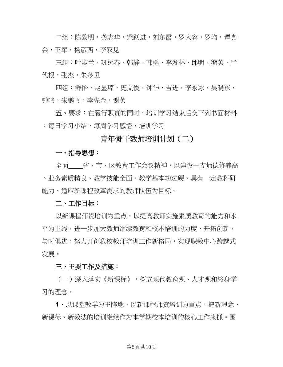 青年骨干教师培训计划（三篇）.doc_第5页