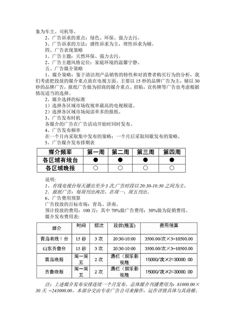 洗得力清洁剂整合营销推广企划案.doc_第5页