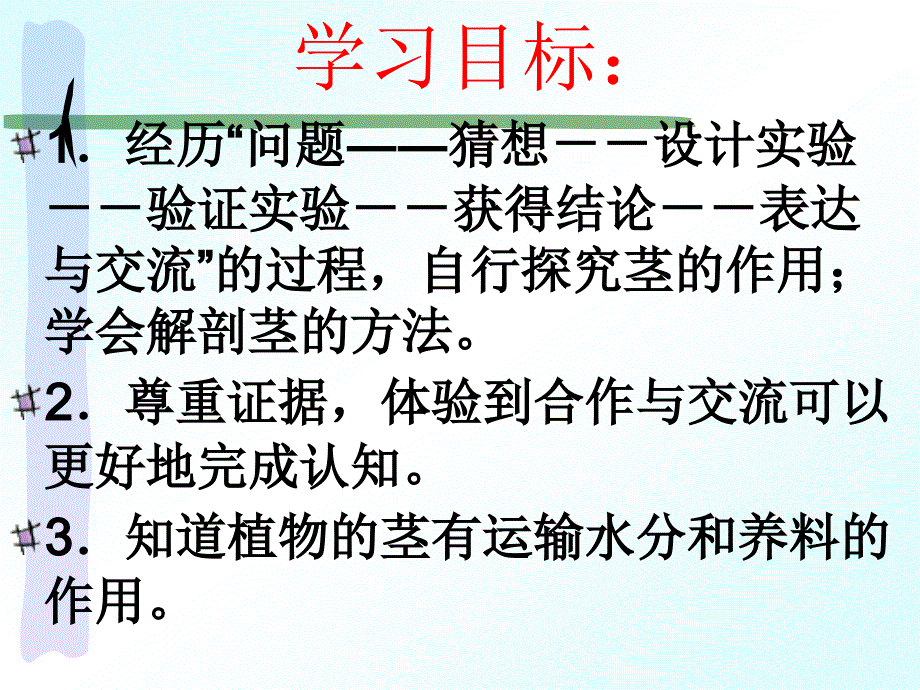 青岛版小学科学植物茎课件_第4页