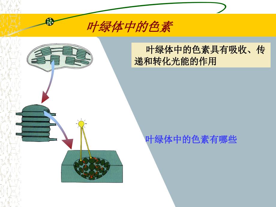 能量之源光合作用_第4页