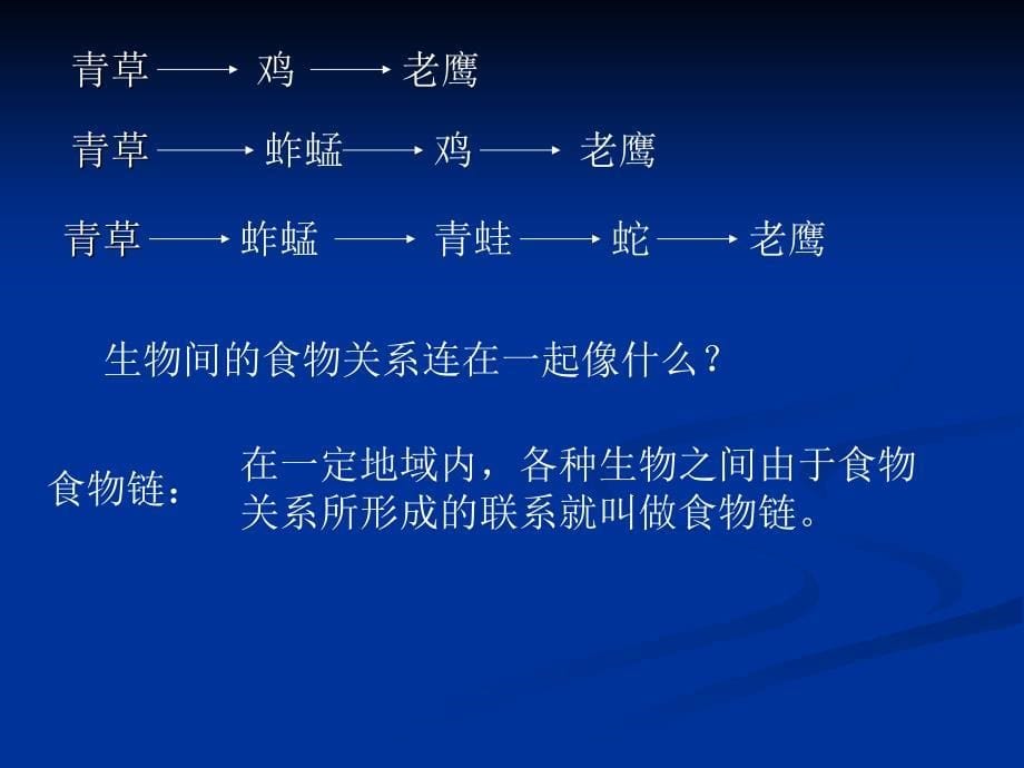 五年级上册科学课件1.5食物链和食物网教科版共18张PPT_第5页