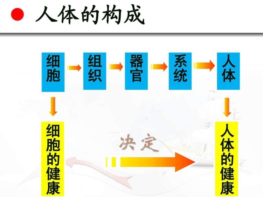 人为什么会生病1659335171.ppt_第2页