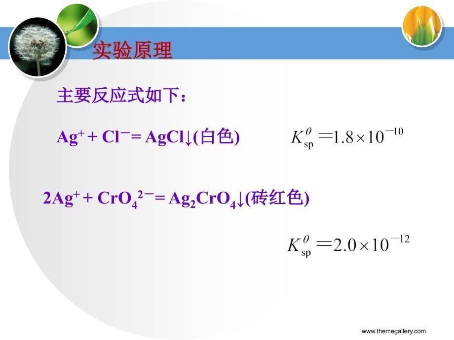 可溶性氯化物中氯含量的测定教学内容_第5页