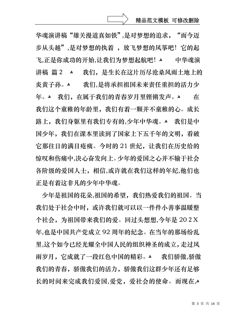 中华魂演讲稿模板汇编7篇_第3页