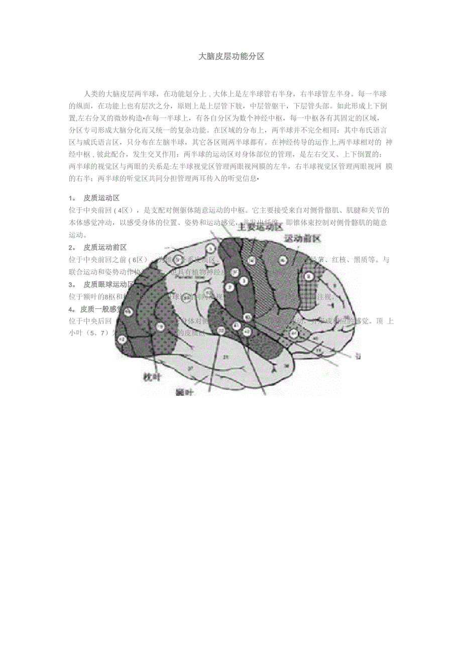 大脑皮层功能分区_第1页